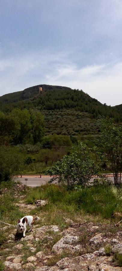 La Viajera Espadan Algimia de Almonacid Dış mekan fotoğraf